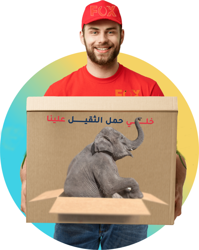 Statistiques foxlivraison.ma